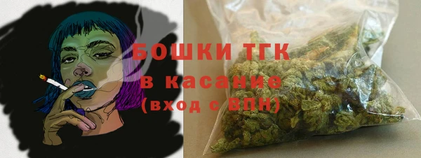 гидра Аркадак