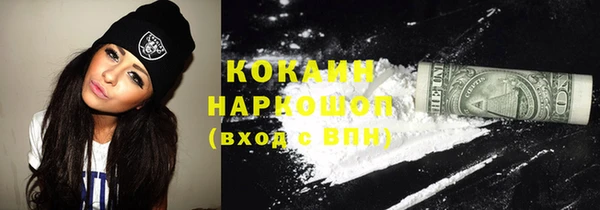 гидра Аркадак