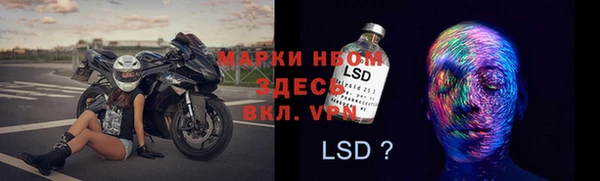 гидра Аркадак