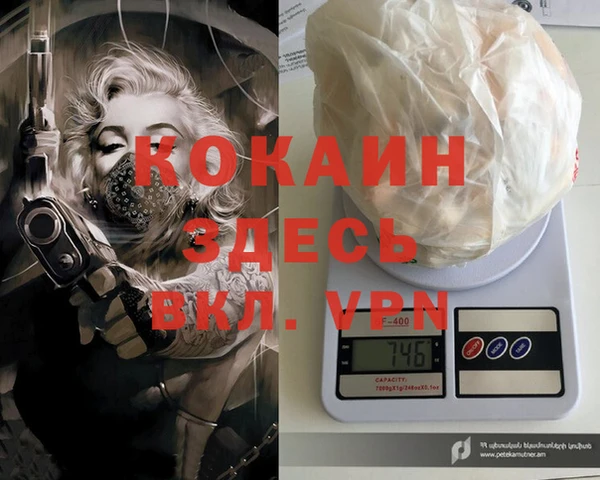 гидра Аркадак